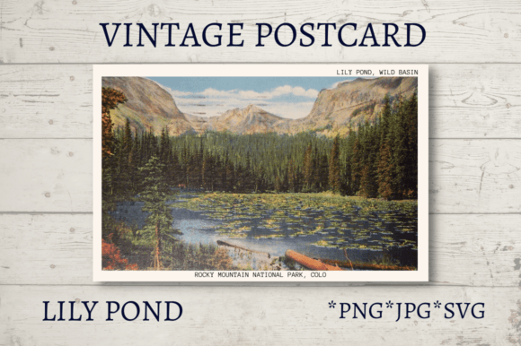 Download Vintage Postcard National Parks Volume 8 - Card Collection